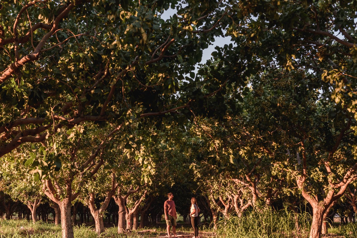 Personas en la finca, escala humana
